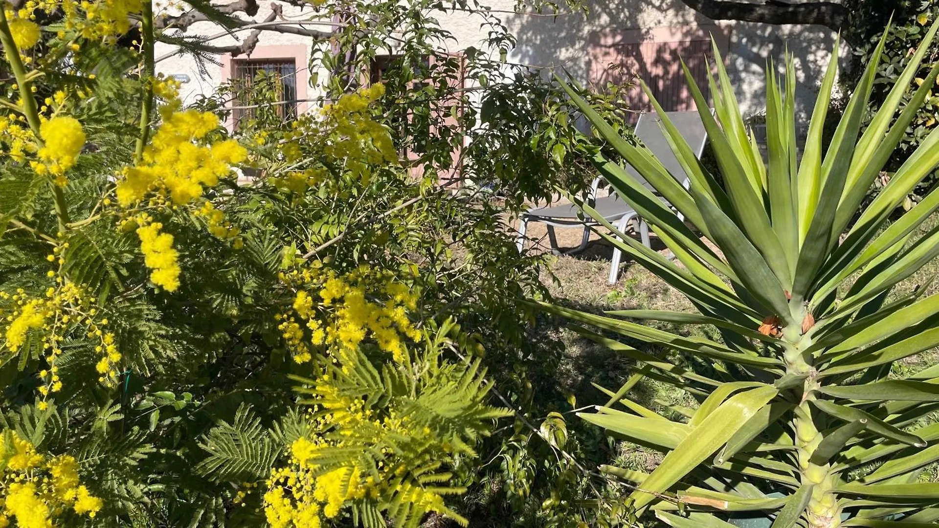 Apartment Large Private Garden, Quiet 2-Bedroom Apartment, Air Conditioning, Wifi, Parking Cassis
